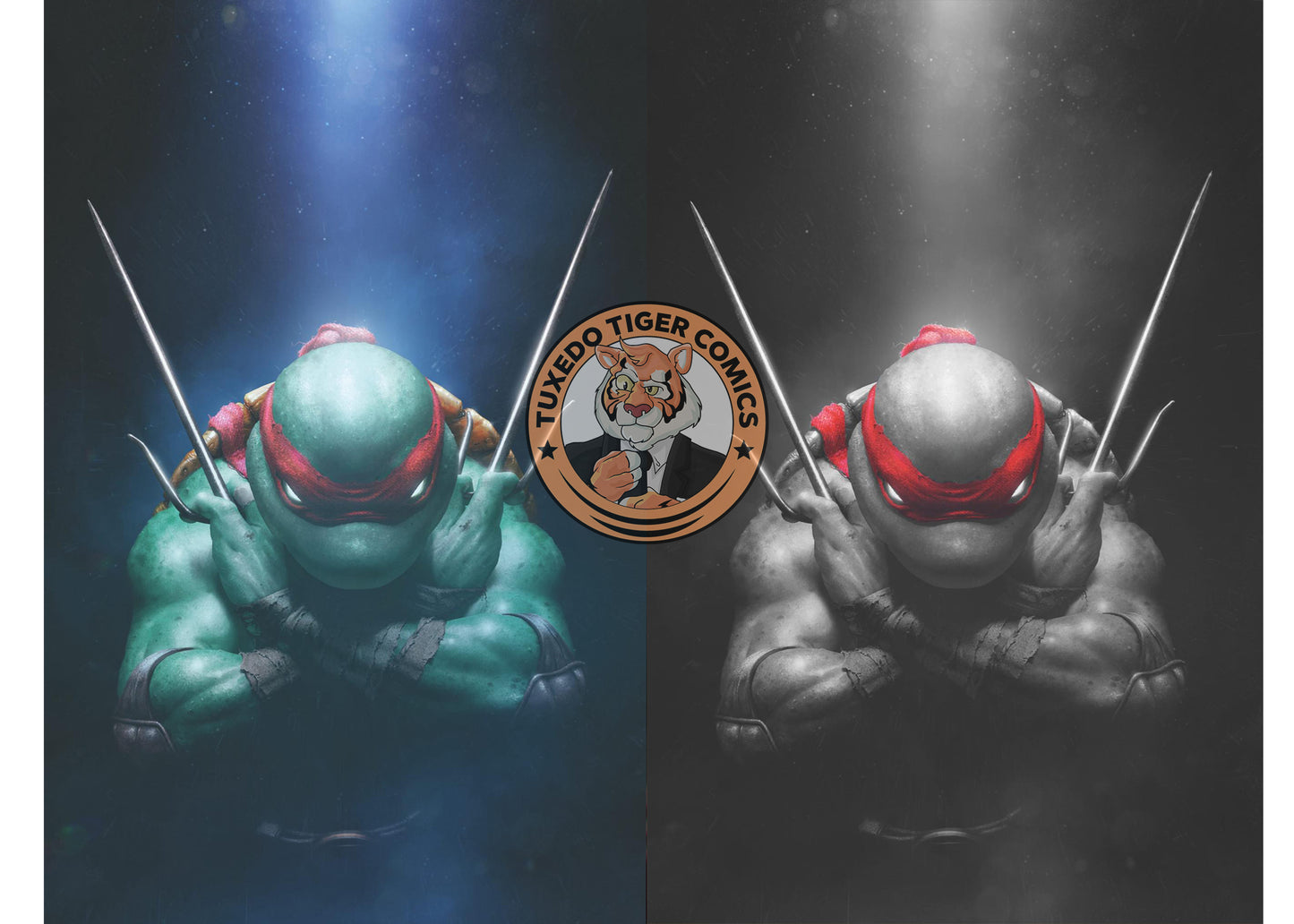 TMNT #1 RAHZZAH/JAY FERGUSON