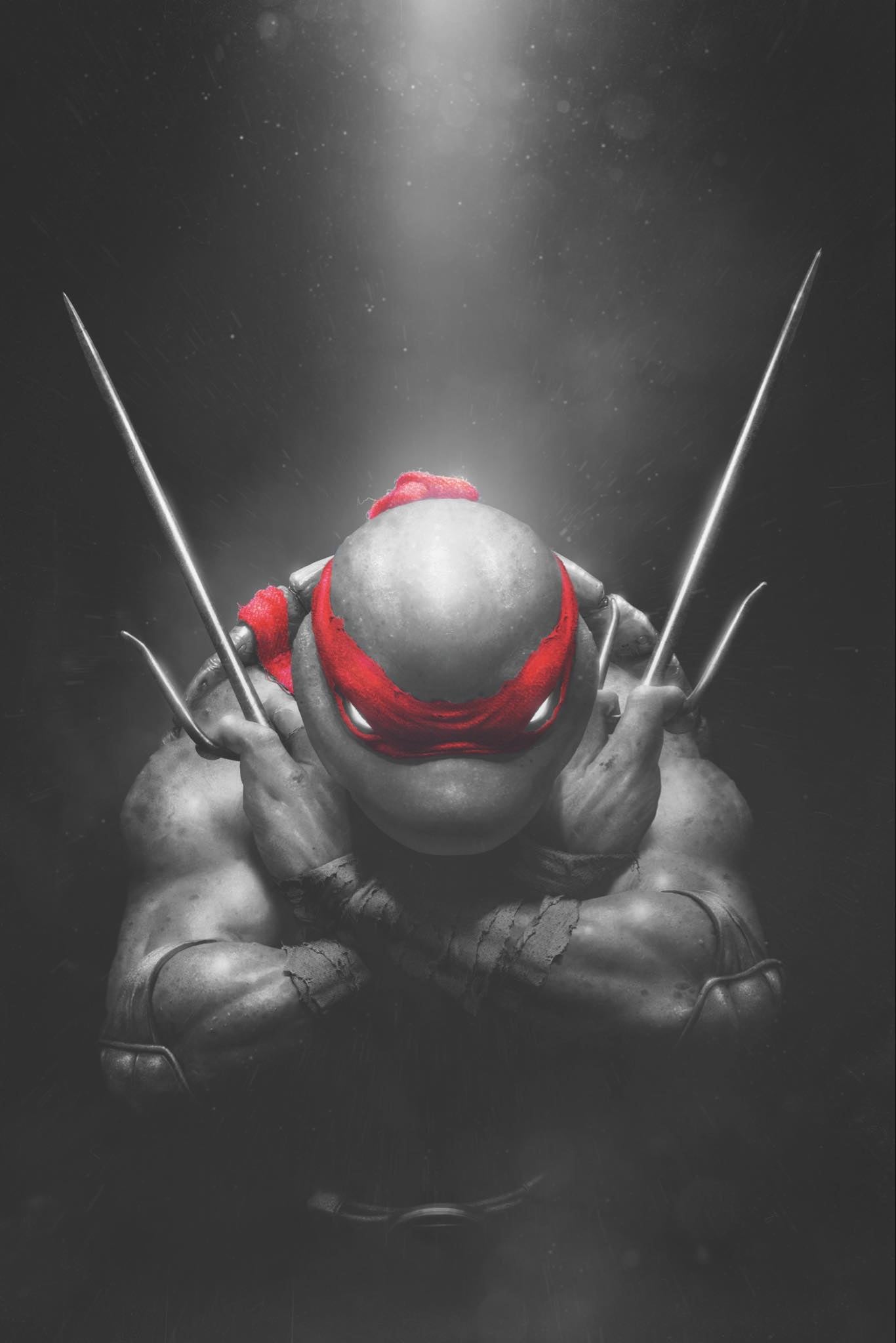 TMNT #1 RAHZZAH/JAY FERGUSON