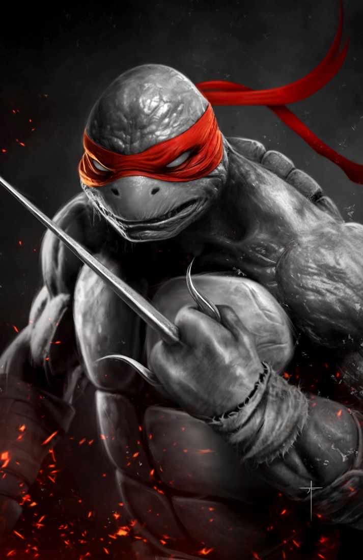 TMNT #1 RAHZZAH/JAY FERGUSON