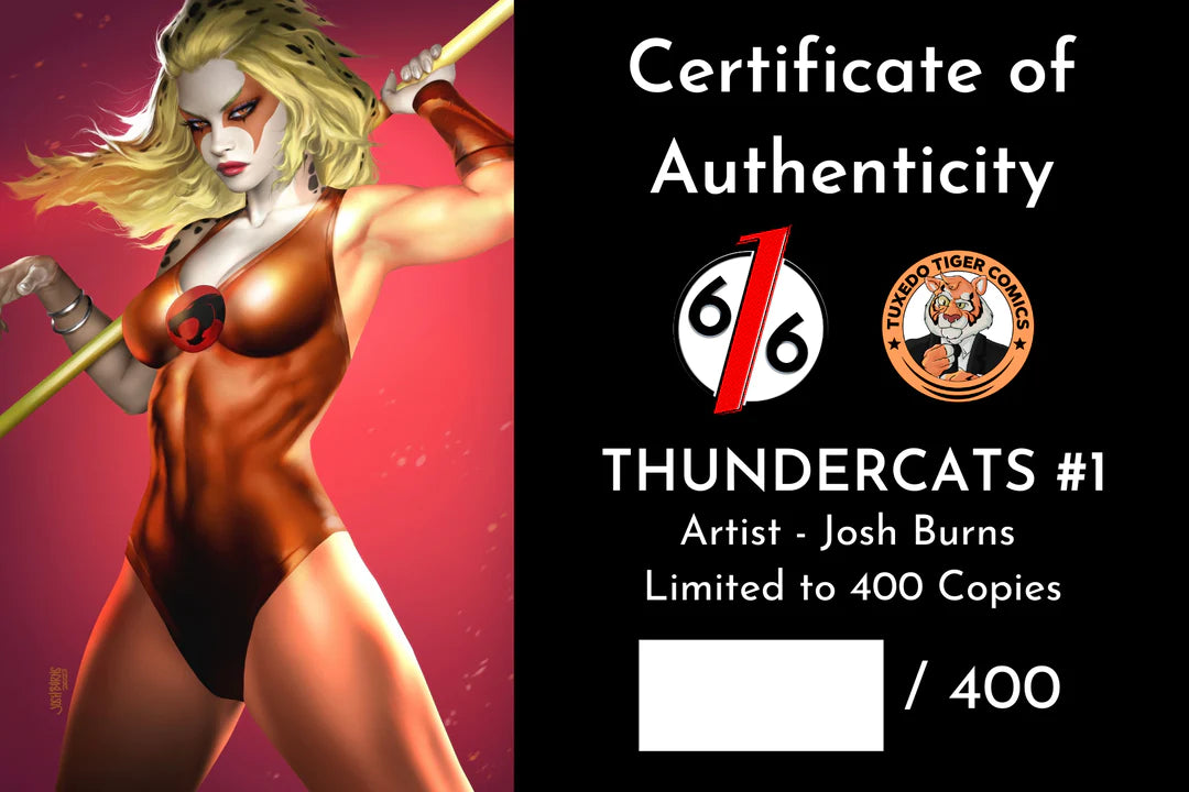 THUNDERCATS #1 JOSH BURNS CHEETARA