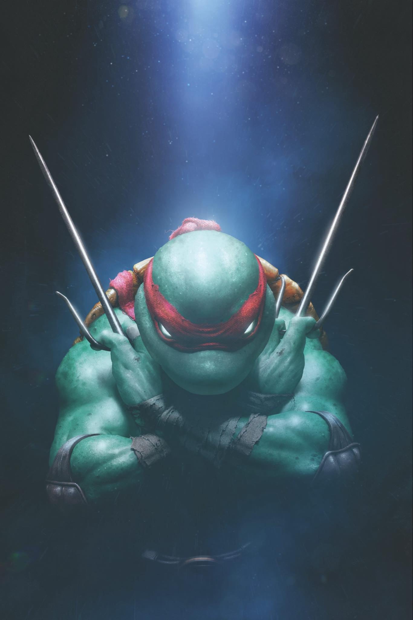 TMNT #1 RAHZZAH/JAY FERGUSON – Tuxedotigercomics